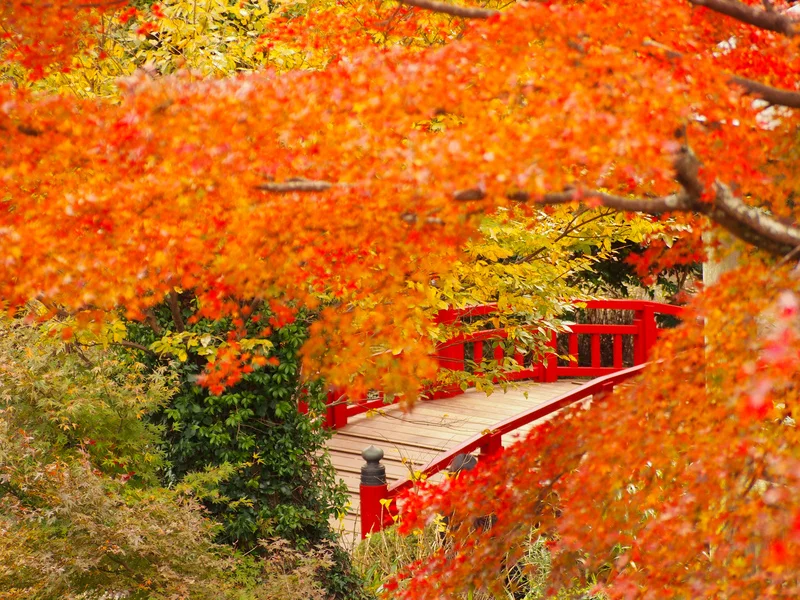 pixta_69397986_M (1)